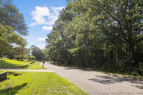 Photo of 424 Timberline Drive, Fayetteville, NC 28311 (MLS # 767030)