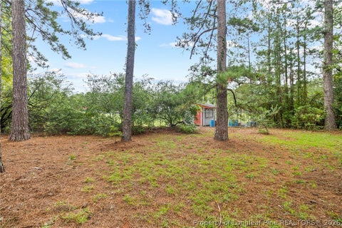 Tiny photo for 3304 Rhodhiss Court, Fayetteville, NC 28311 (MLS # 769667)