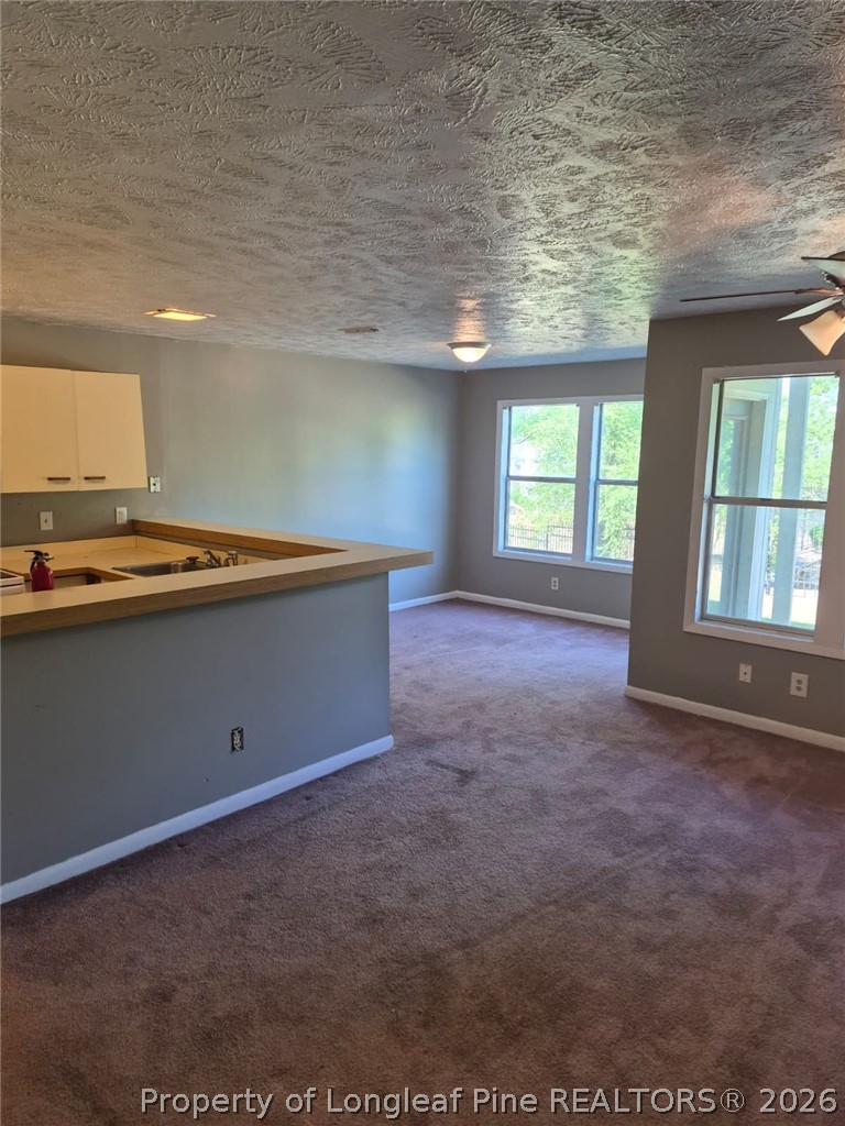 1010 Brookhollow Drive 1