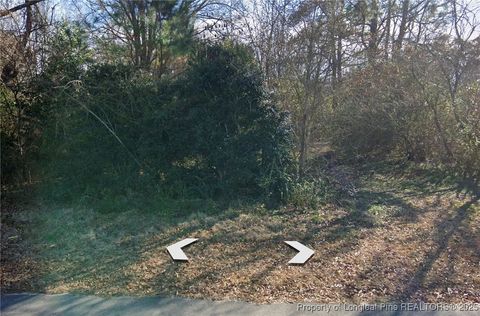 165 Riverview Road Erwin NC 27546