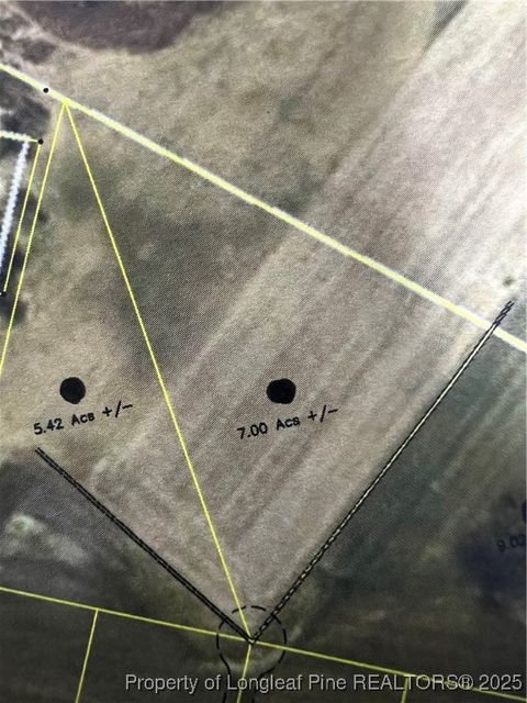 Photo of 7.0 acres Buie Philadelphus Road, Red Springs, NC 28377 (MLS # 753264)