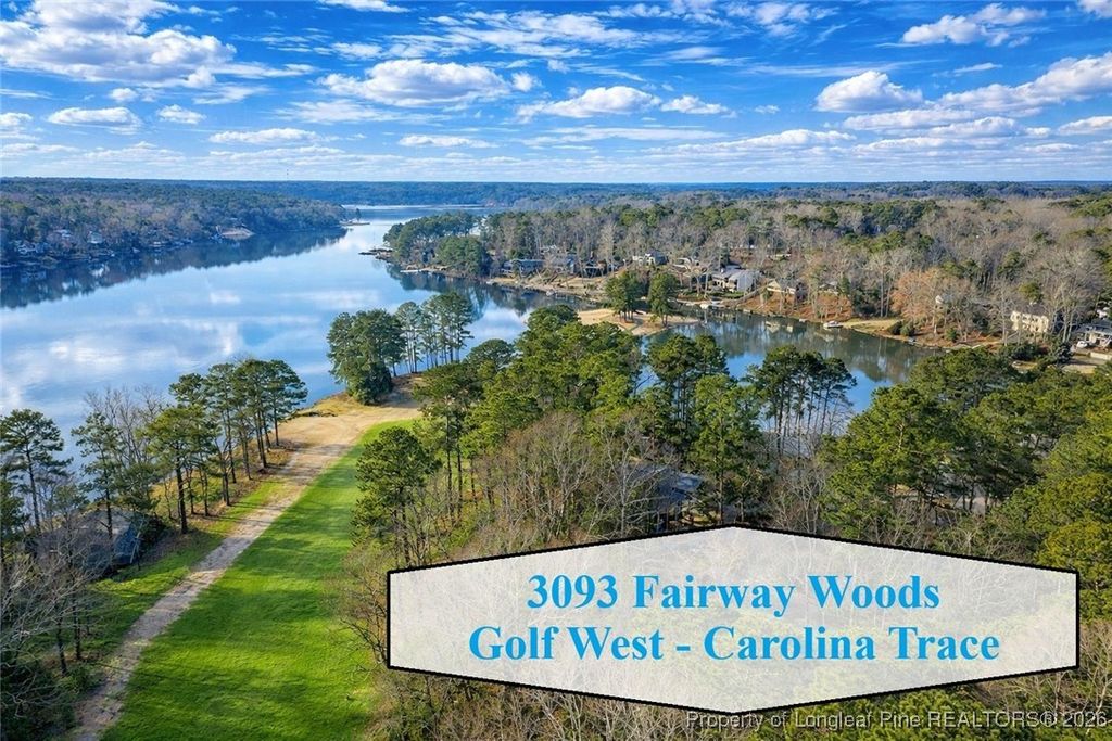 Photo of 3093 Fairway Woods, Sanford, NC 27332 (MLS # 755718)