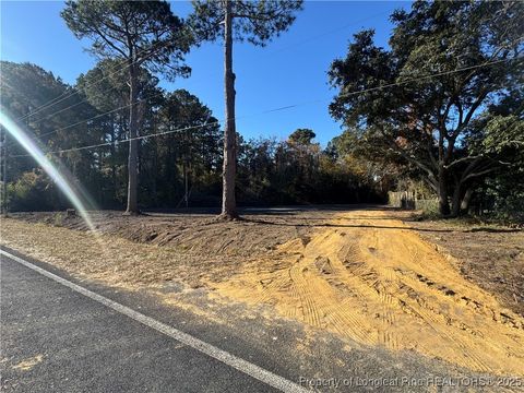 Photo of 2133 Snake Road, Lumberton, NC 28358 (MLS # 753622)
