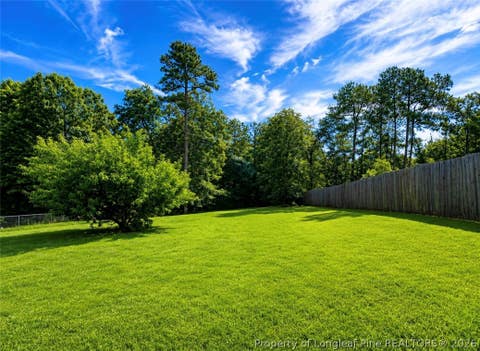 Tiny photo for 200 Bear Creek Drive, Raeford, NC 28376 (MLS # 767744)