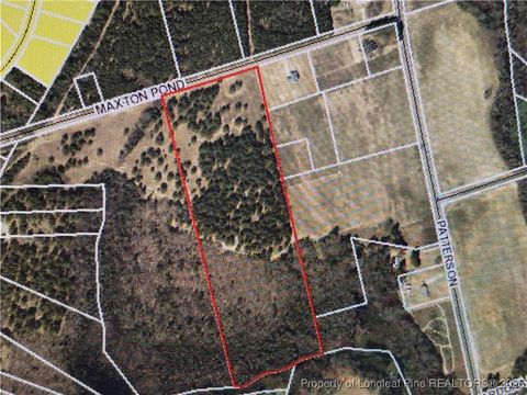 Tiny photo for 0 Maxton Pond Road N, Maxton, NC 28364 (MLS # 751335)