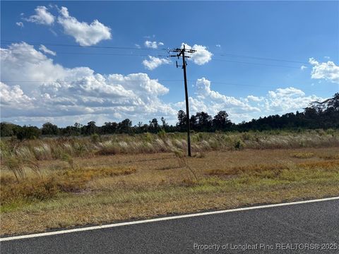 Photo of 0 Maxton Pond Road N, Maxton, NC 28364 (MLS # 751335)