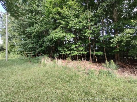 Tiny photo for Buckhorn Road, Sanford, NC 27330 (MLS # 751042)