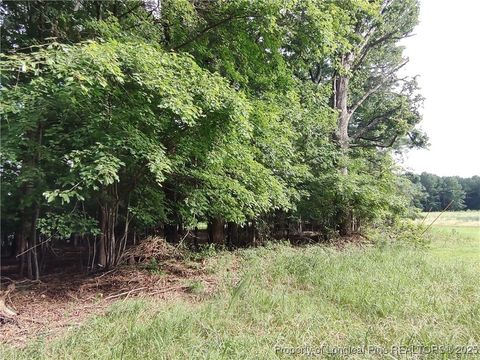Tiny photo for Buckhorn Road, Sanford, NC 27330 (MLS # 751042)