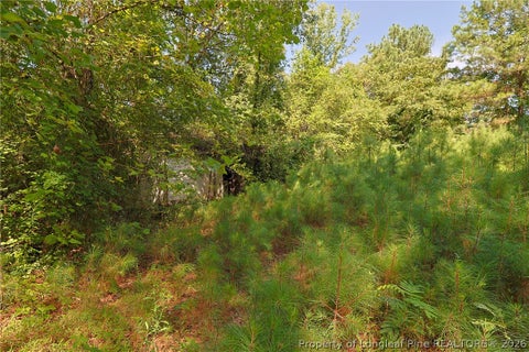 Tiny photo for 121 Buffalo Street, Fayetteville, NC 28303 (MLS # 768142)