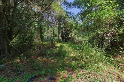 Tiny photo for 121 Buffalo Street, Fayetteville, NC 28303 (MLS # 768142)