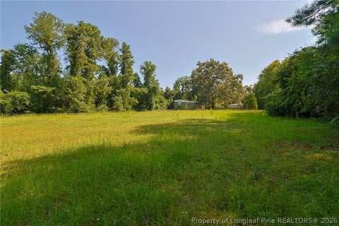 Tiny photo for 121 Buffalo Street, Fayetteville, NC 28303 (MLS # 768142)
