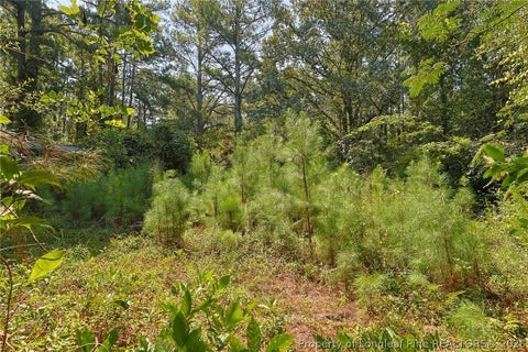 Tiny photo for 121 Buffalo Street, Fayetteville, NC 28303 (MLS # 768142)