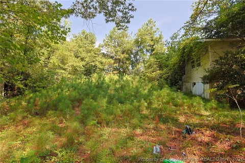 Tiny photo for 121 Buffalo Street, Fayetteville, NC 28303 (MLS # 768142)