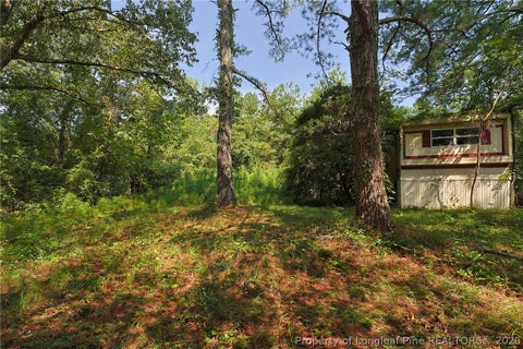 Tiny photo for 121 Buffalo Street, Fayetteville, NC 28303 (MLS # 768142)