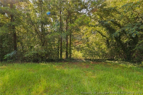 Tiny photo for 121 Buffalo Street, Fayetteville, NC 28303 (MLS # 768142)
