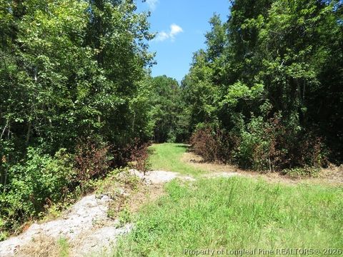 Tiny photo for 4512 Tobacco Road, Orrum, NC 28369 (MLS # 764826)