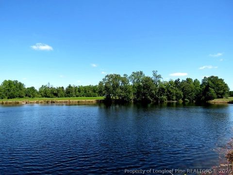 Tiny photo for 4512 Tobacco Road, Orrum, NC 28369 (MLS # 764826)