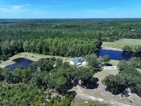 Photo of 4512 Tobacco Road, Orrum, NC 28369 (MLS # 764826)