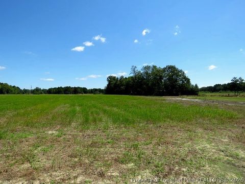 Tiny photo for 4512 Tobacco Road, Orrum, NC 28369 (MLS # 764826)