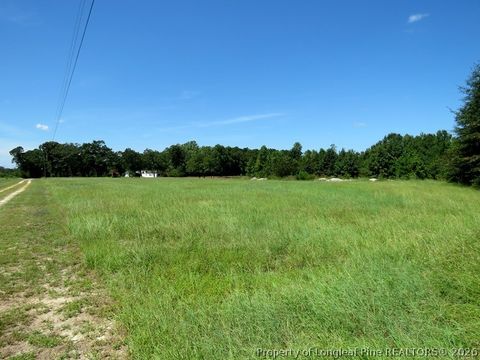 Tiny photo for 4512 Tobacco Road, Orrum, NC 28369 (MLS # 764826)