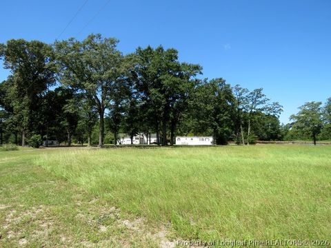 Tiny photo for 4512 Tobacco Road, Orrum, NC 28369 (MLS # 764826)