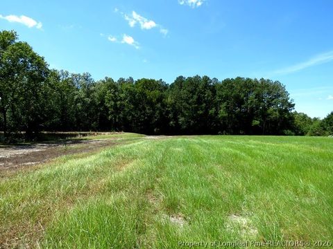 Tiny photo for 4512 Tobacco Road, Orrum, NC 28369 (MLS # 764826)