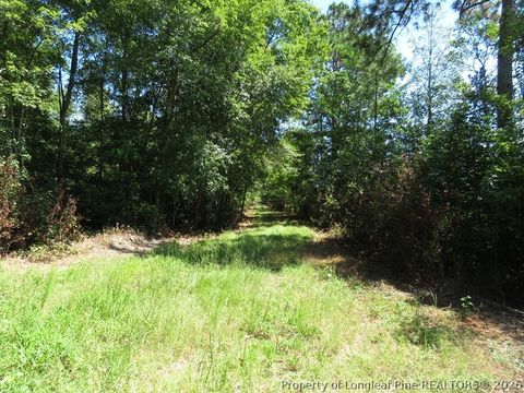 Tiny photo for 4512 Tobacco Road, Orrum, NC 28369 (MLS # 764826)