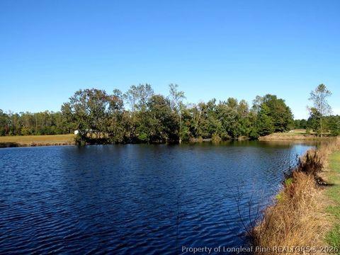 Tiny photo for 4512 Tobacco Road, Orrum, NC 28369 (MLS # 764826)