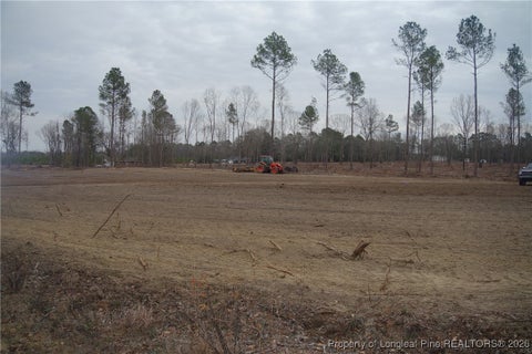 Tiny photo for Lot 10 Sand Rock Road, Fairmont, NC 28340 (MLS # 755265)