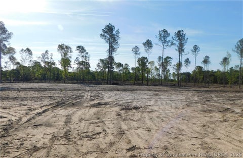Tiny photo for Lot 10 Sand Rock Road, Fairmont, NC 28340 (MLS # 755265)