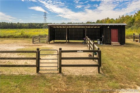 Tiny photo for 5000 Arabia Drive, Lumber Bridge, NC 28357 (MLS # 750853)