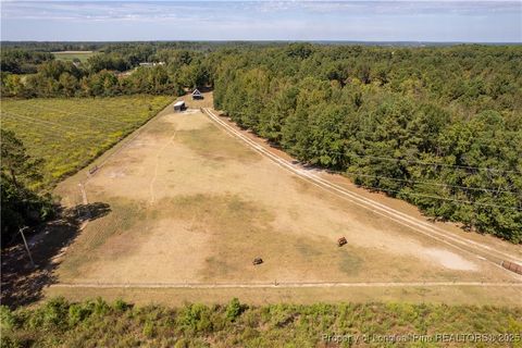 Tiny photo for 5000 Arabia Drive, Lumber Bridge, NC 28357 (MLS # 750853)