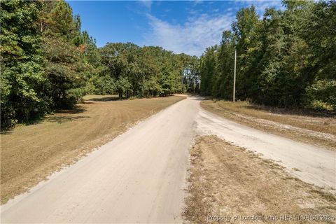 Tiny photo for 5000 Arabia Drive, Lumber Bridge, NC 28357 (MLS # 750853)
