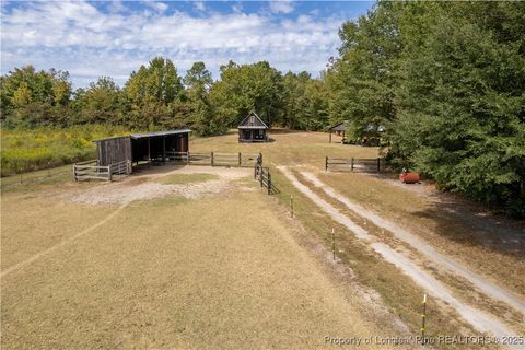 Tiny photo for 5000 Arabia Drive, Lumber Bridge, NC 28357 (MLS # 750853)