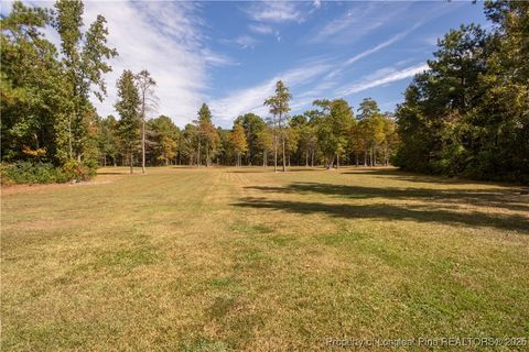 Tiny photo for 5000 Arabia Drive, Lumber Bridge, NC 28357 (MLS # 750853)