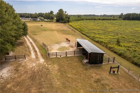 Tiny photo for 5000 Arabia Drive, Lumber Bridge, NC 28357 (MLS # 750853)