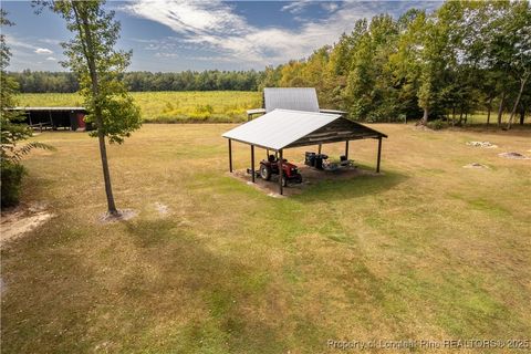 Tiny photo for 5000 Arabia Drive, Lumber Bridge, NC 28357 (MLS # 750853)