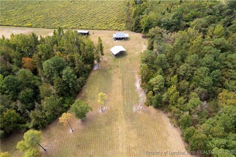 Tiny photo for 5000 Arabia Drive, Lumber Bridge, NC 28357 (MLS # 750853)