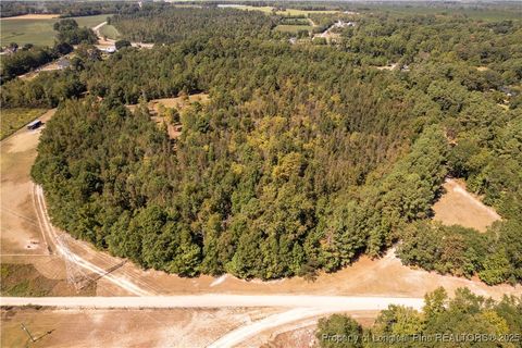Tiny photo for 5000 Arabia Drive, Lumber Bridge, NC 28357 (MLS # 750853)