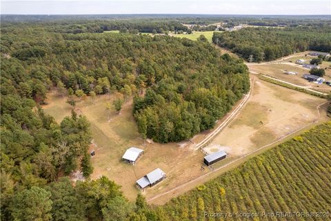 Tiny photo for 5000 Arabia Drive, Lumber Bridge, NC 28357 (MLS # 750853)