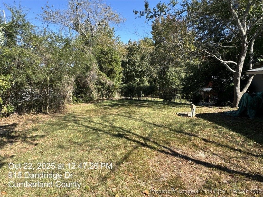 Photo of 918 Dandridge Drive, Fayetteville, NC 28303 (MLS # 752226)