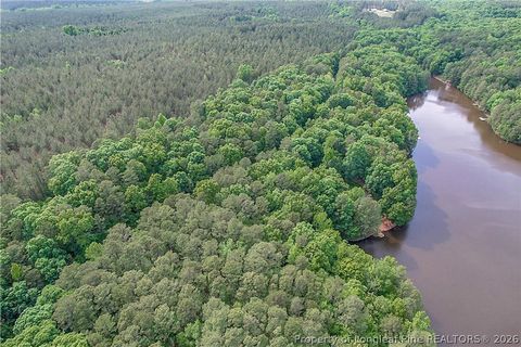 Tiny photo for 122 Palomino Rd Road, Carthage, NC 28327 (MLS # 762448)