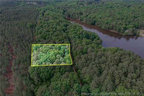 Tiny photo for 122 Palomino Rd Road, Carthage, NC 28327 (MLS # 762448)