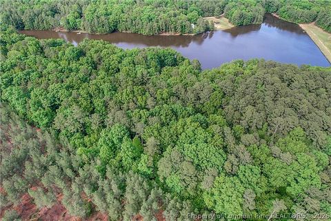 Tiny photo for 122 Palomino Rd Road, Carthage, NC 28327 (MLS # 762448)
