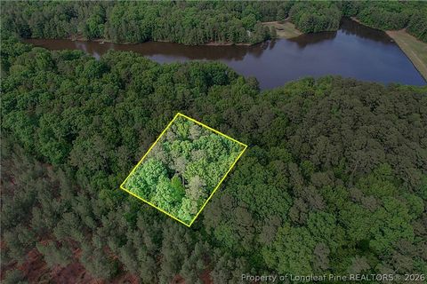 Tiny photo for 122 Palomino Rd Road, Carthage, NC 28327 (MLS # 762448)