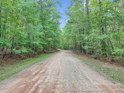Tiny photo for 122 Palomino Rd Road, Carthage, NC 28327 (MLS # 762448)