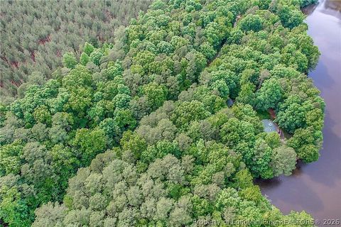 Tiny photo for 122 Palomino Rd Road, Carthage, NC 28327 (MLS # 762448)