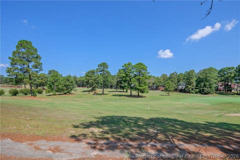 Tiny photo for 401 Carolina Way, Sanford, NC 27332 (MLS # 768293)
