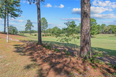 Tiny photo for 401 Carolina Way, Sanford, NC 27332 (MLS # 768293)