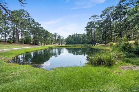 Tiny photo for 218 Rachel Road, Fayetteville, NC 28311 (MLS # 767164)